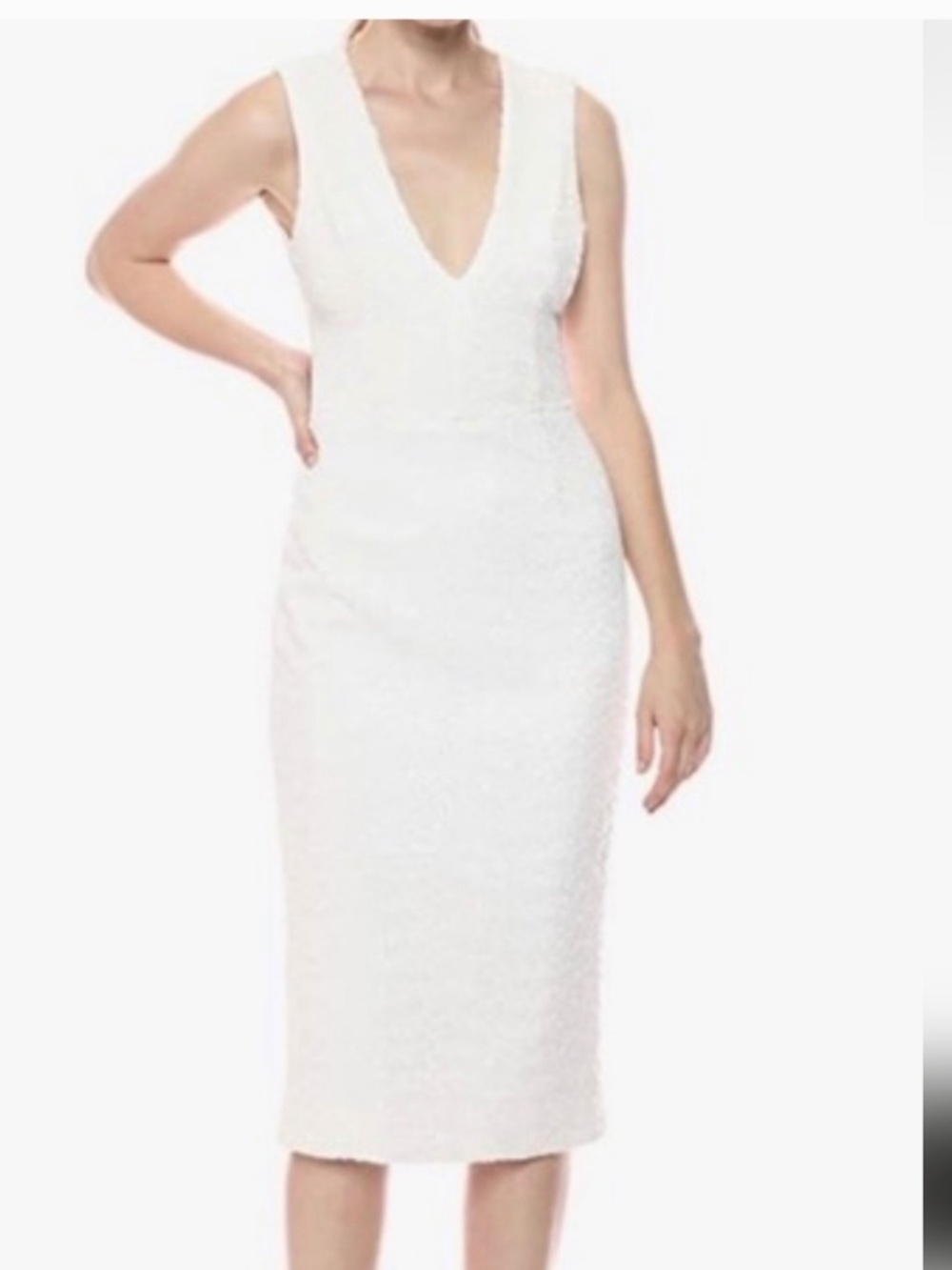 Dress The Population Rani Dress